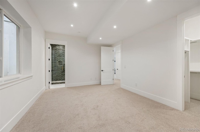 interior space with light colored carpet