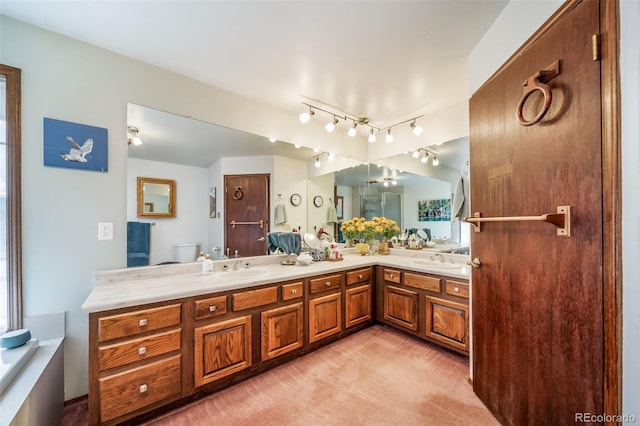 7815 Armadillo Trl, Evergreen, CO 80439 - full bathroom with track lighting, toilet, a sink, and double vanity