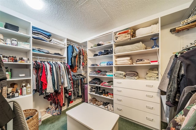 7815 Armadillo Trl, Evergreen, CO 80439 - walk in closet with carpet flooring