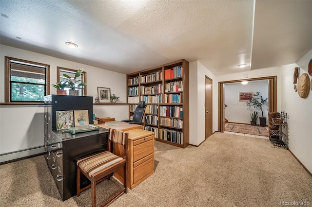 7815 Armadillo Trl, Evergreen, CO 80439 - carpeted office space with a baseboard heating unit and a textured ceiling