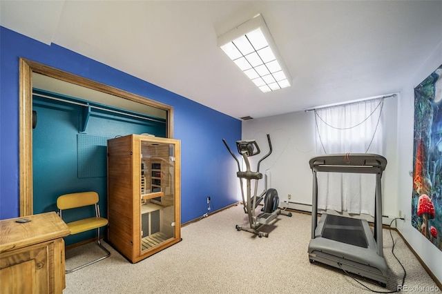 7815 Armadillo Trl, Evergreen, CO 80439 - workout area featuring baseboards and carpet