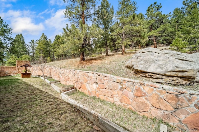 7815 Armadillo Trl, Evergreen, CO 80439 - view of yard featuring fence