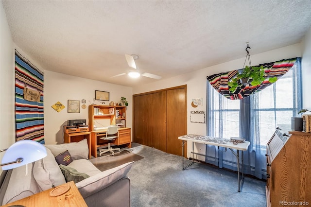 7815 Armadillo Trl, Evergreen, CO 80439 - photo 18