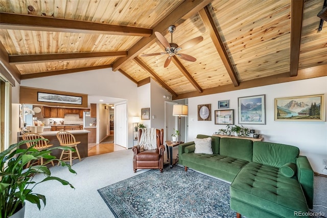 7815 Armadillo Trl, Evergreen, CO 80439 - photo 7