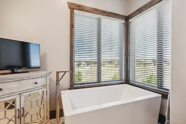 bathroom featuring vanity and a washtub