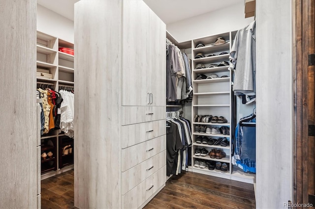 walk in closet featuring dark wood-type flooring