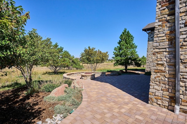 view of yard featuring a patio area