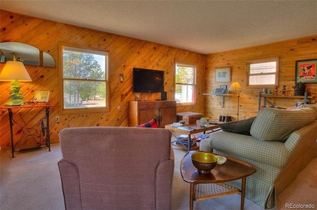 living room with a textured ceiling, wooden walls, and carpet