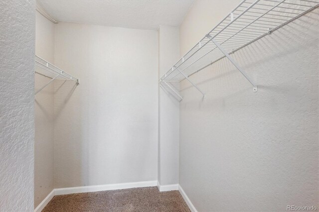 spacious closet with carpet floors