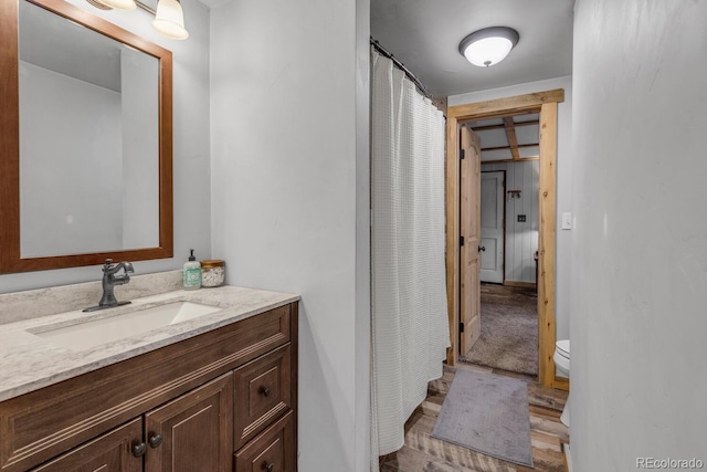 146 Dynamite Dr, Black Hawk, CO 80422 - bathroom featuring vanity, toilet, and curtained shower