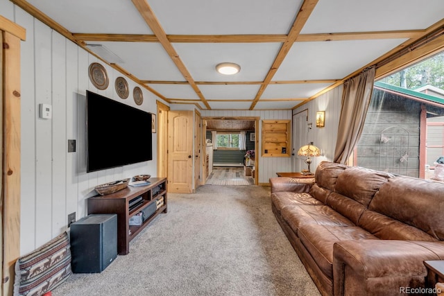 146 Dynamite Dr, Black Hawk, CO 80422 - carpeted living room featuring coffered ceiling and wood walls