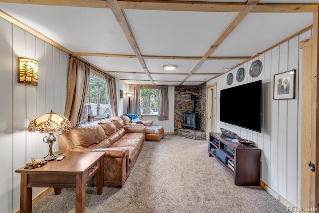 146 Dynamite Dr, Black Hawk, CO 80422 - carpeted living room with a wood stove and wood walls