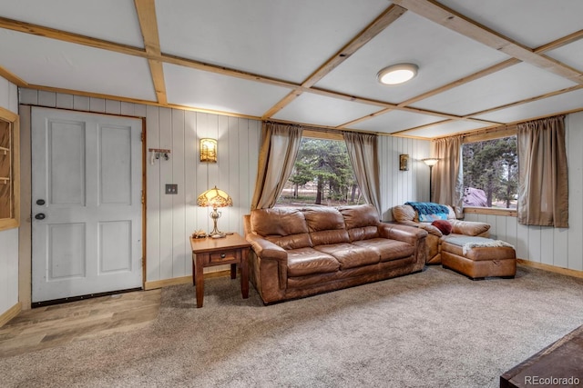 146 Dynamite Dr, Black Hawk, CO 80422 - living area with healthy amount of natural light, baseboards, carpet flooring, wooden walls, and coffered ceiling