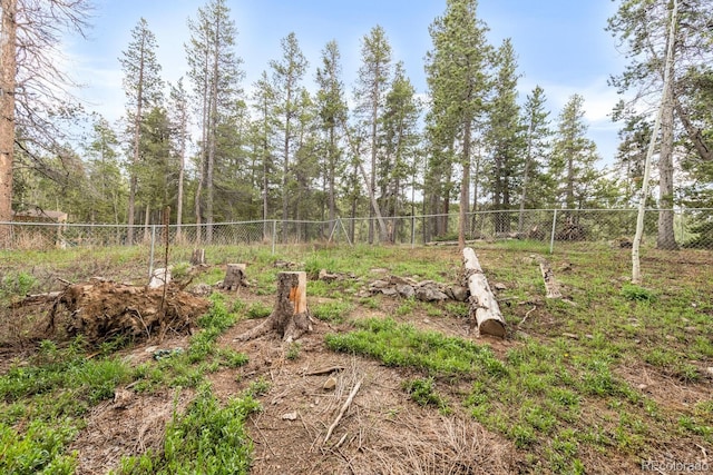 146 Dynamite Dr, Black Hawk, CO 80422 - view of yard