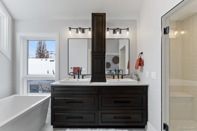 bathroom featuring vanity and independent shower and bath