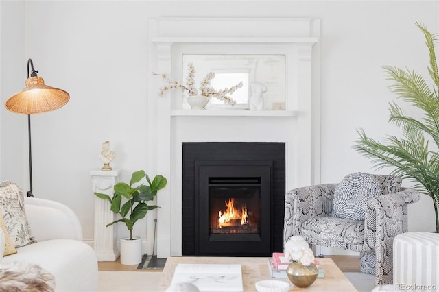 living area featuring wood finished floors and a lit fireplace