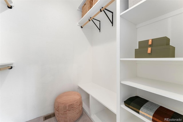 spacious closet featuring visible vents and carpet