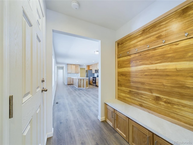 mudroom with dark hardwood / wood-style floors