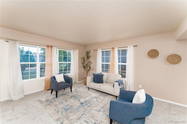 6266 Canyon Crest Loop, Colorado Springs, CO 80923 - photo 11