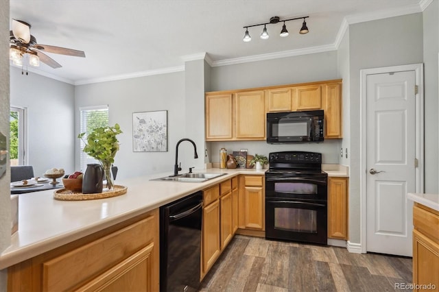 5193 E 119th Way, Thornton, CO 80233 - kitchen with black appliances, a sink, dark wood finished floors, light countertops, and ceiling fan