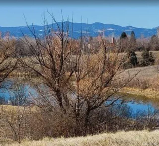 7784 Lewis St, Arvada, CO 80005 - photo 43