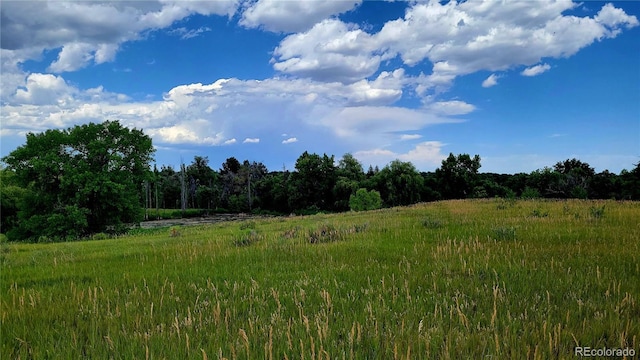 7784 Lewis St, Arvada, CO 80005 - photo 46