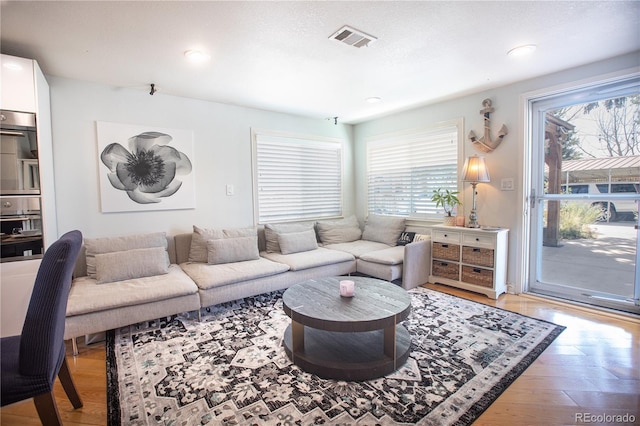 living room featuring light hardwood / wood-style flooring and a healthy amount of sunlight