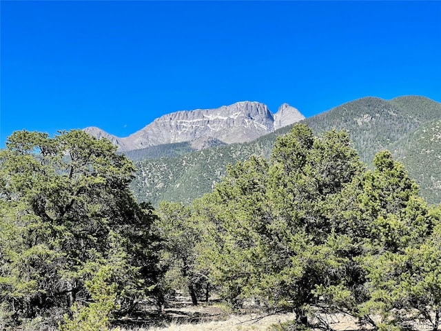 3809 Virtue Ct, Crestone, CO 81131