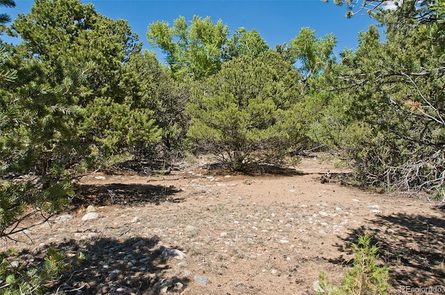 3809 Virtue Ct, Crestone, CO 81131