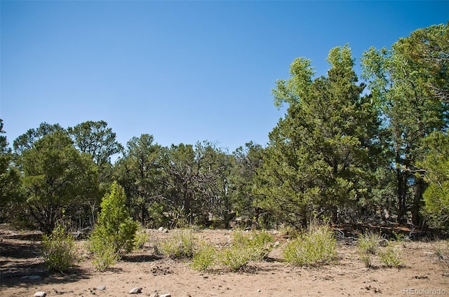 3809 Virtue Ct, Crestone, CO 81131