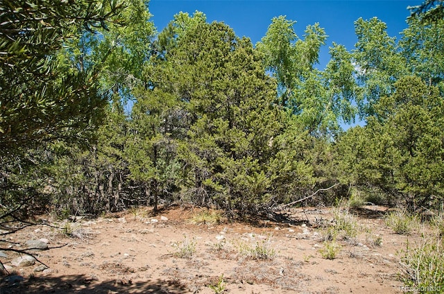 3809 Virtue Ct, Crestone, CO 81131