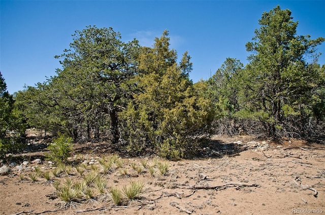3809 Virtue Ct, Crestone, CO 81131
