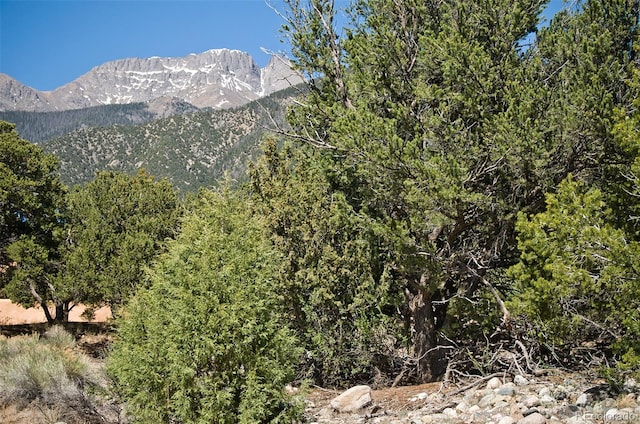 3809 Virtue Ct, Crestone, CO 81131