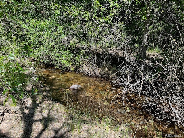 3809 Virtue Ct, Crestone, CO 81131