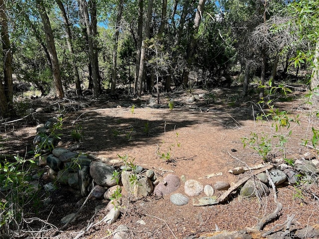 3809 Virtue Ct, Crestone, CO 81131