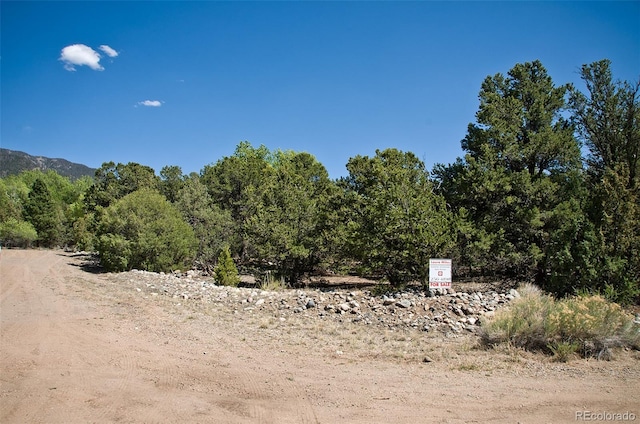 3809 Virtue Ct, Crestone, CO 81131