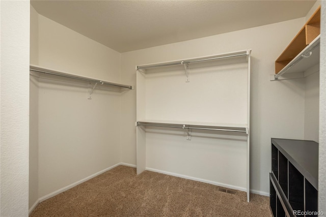 spacious closet with carpet flooring and visible vents
