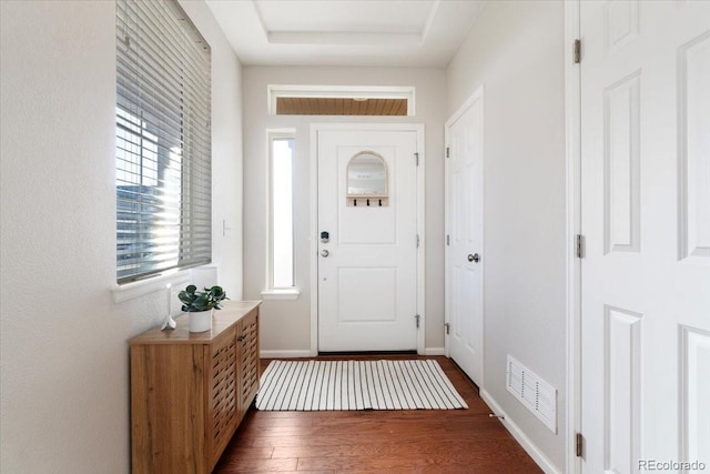 entryway featuring a tray ceiling, dark wood-style flooring, visible vents, and a healthy amount of sunlight