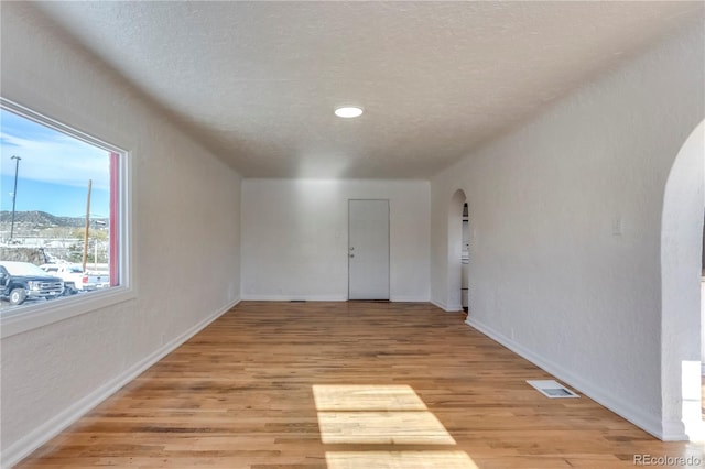 spare room featuring a mountain view, light hardwood / wood-style floors, and a textured ceiling