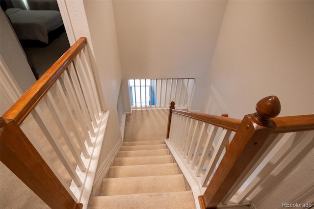 stairs featuring carpet flooring