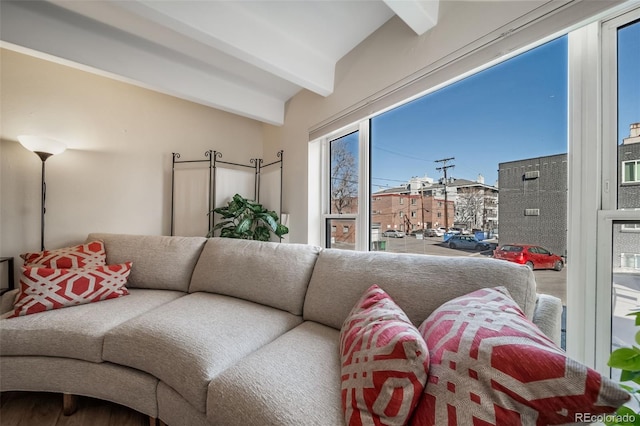 33 N Corona St Unit 205, Denver, CO 80218 - living area with beamed ceiling
