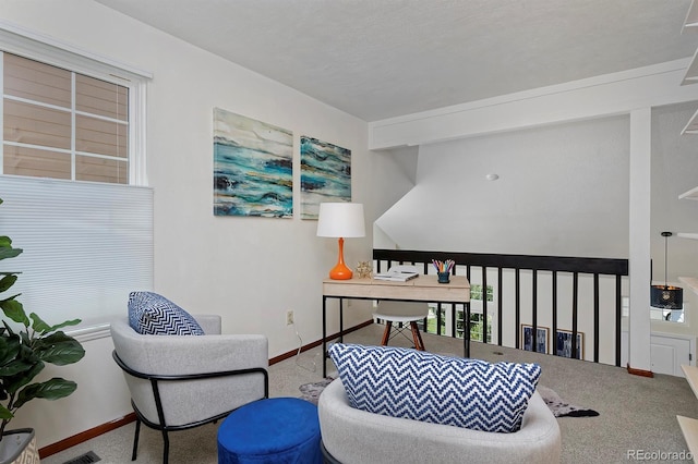 4242 E 133rd Pl, Thornton, CO 80241 - photo 20