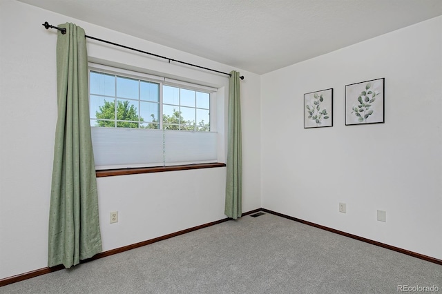 4242 E 133rd Pl, Thornton, CO 80241 - photo 26