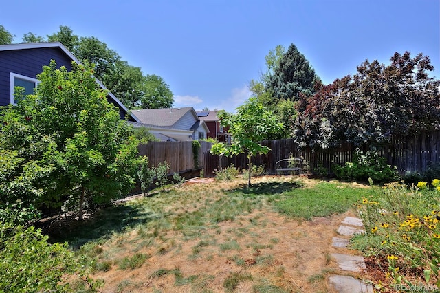 4242 E 133rd Pl, Thornton, CO 80241 - photo 33