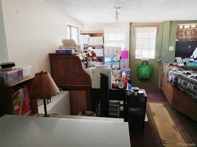 10795 County Road 197 A Unit 105, Nathrop, CO 81236 - interior space featuring a textured ceiling and carpet flooring
