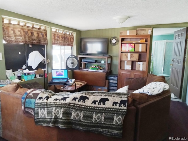 10795 County Road 197 A Unit 105, Nathrop, CO 81236 - living area featuring a textured ceiling