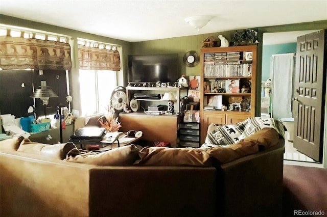 10795 County Road 197 A Unit 105, Nathrop, CO 81236 - view of living room