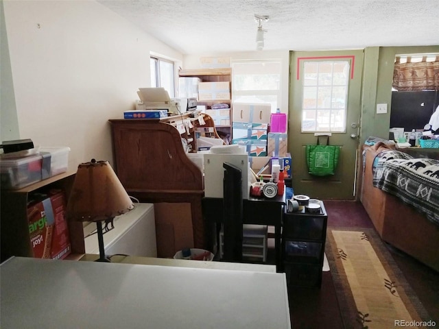 10795 County Road 197 A Unit 105, Nathrop, CO 81236 - living area with a textured ceiling and carpet flooring