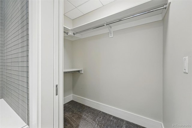 250 Columbine St Unit 310, Denver, CO 80206 - spacious closet with dark carpet