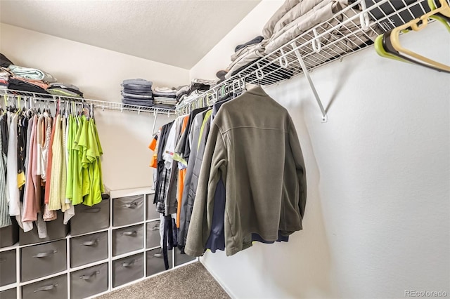 walk in closet featuring carpet